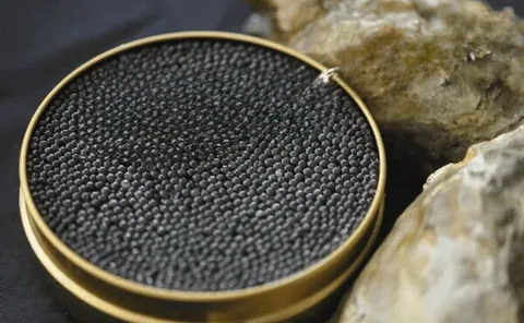 خاویار ایران متمایز تجربه چشایی نرم لطافت بالا